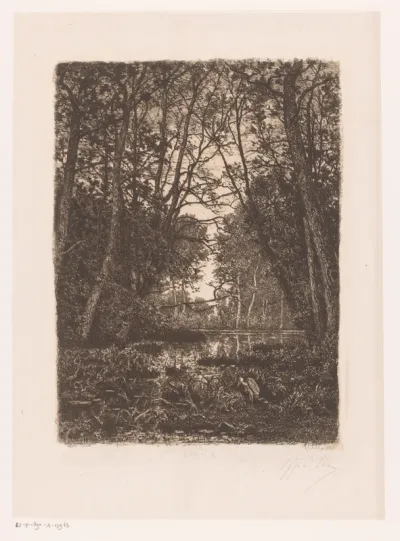 Landschap met hoge bomen en een reiger rondom een waterplas