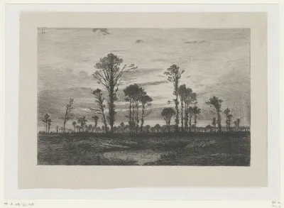 Landschap met hoge bomen en een vijver