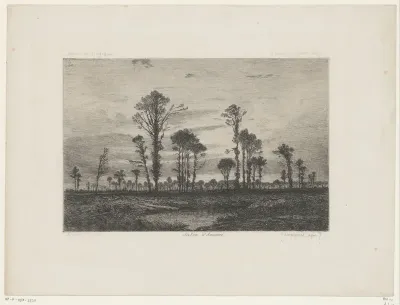 Landschap met hoge bomen en een vijver