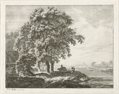 Landschap met hoge bomen langs een rivier