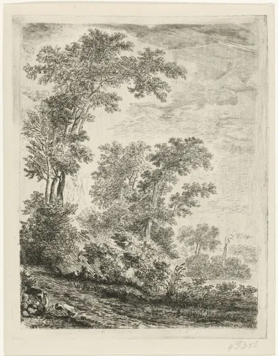 Landschap met hoge bomen