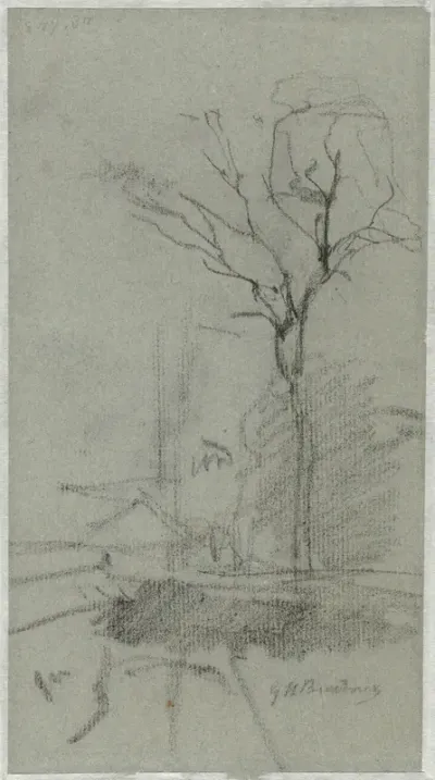 Landschap met hoge boom