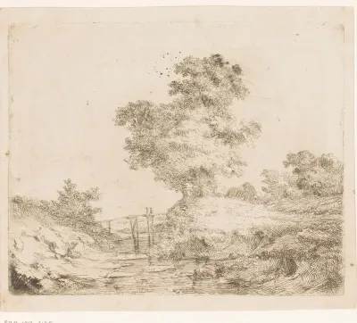 Landschap met houten brug over het water