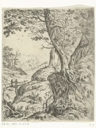 Landschap met houten bruggetje