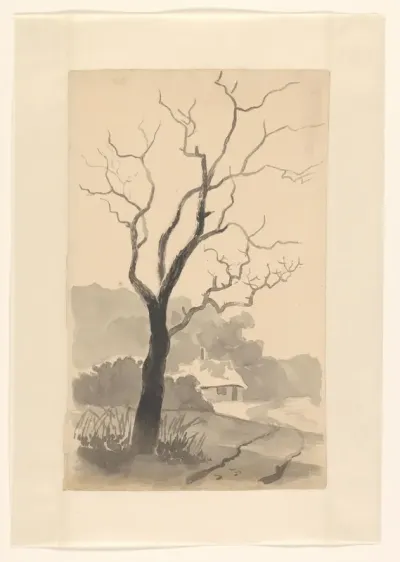 Landschap met huis en kale boom