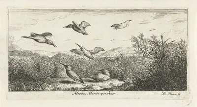 Landschap met ijsvogels