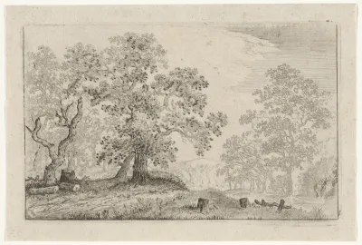 Landschap met in de verte een kasteel