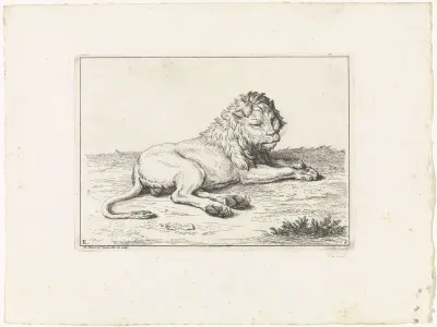 Landschap met jonge leeuw