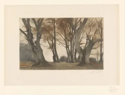 Landschap met kale bomen