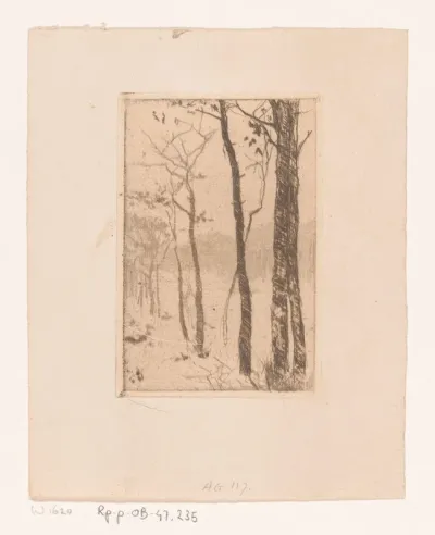Landschap met kale bomen