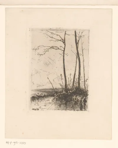 Landschap met kale bomen aan een sloot