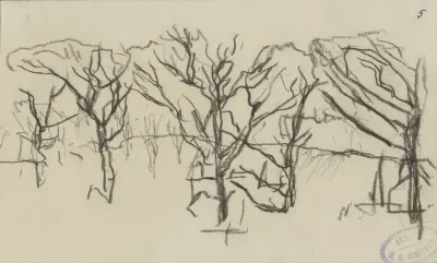 Landschap met kale bomen