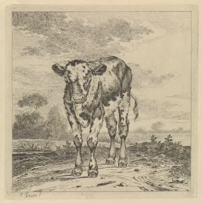 Landschap met kalf