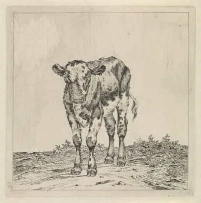 Landschap met kalf