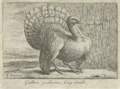 Landschap met kalkoen