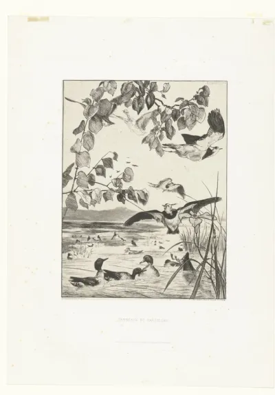 Landschap met kievieten en talingen
