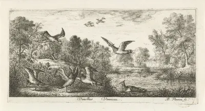Landschap met kievitten