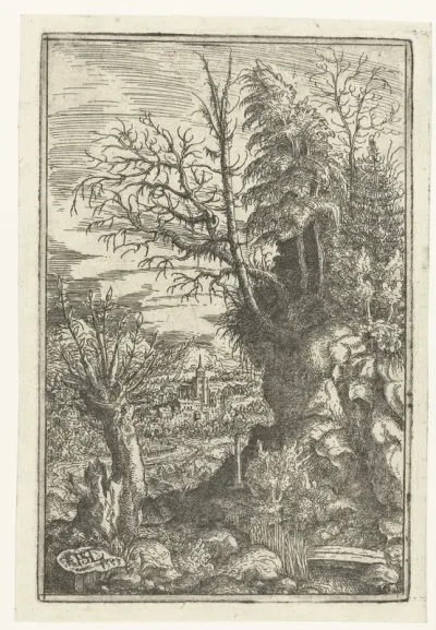 Landschap met knotwilg en bomen op rotsen