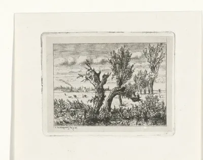 Landschap met knotwilgen
