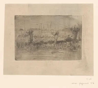 Landschap  met knotwilgen langs een sloot