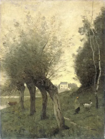 Landschap met knotwilgen