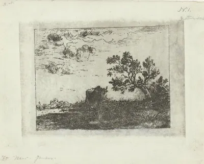 Landschap met koe