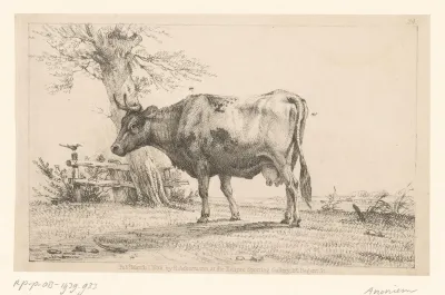 Landschap met koe