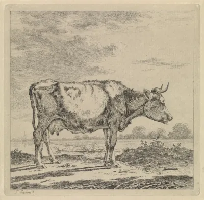 Landschap met koe aan waterkant