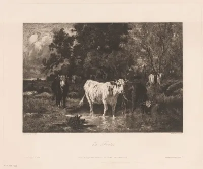 Landschap met koeien aan de rand van een bos
