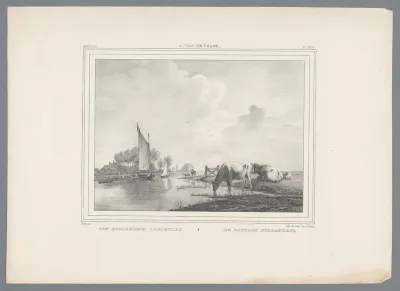 Landschap met koeien aan het water