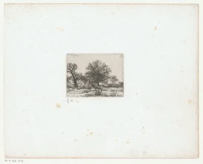 Landschap met koeien bij een drinkplaats