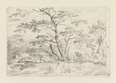 Landschap met koeien bij het water