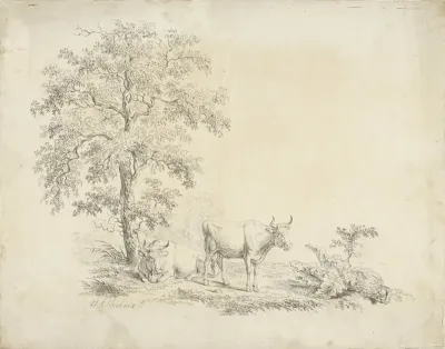 Landschap met koeien