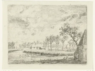 Landschap met korenfeld en weiland met schapen