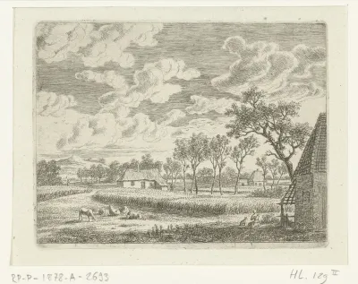 Landschap met korenveld en weiland met schapen