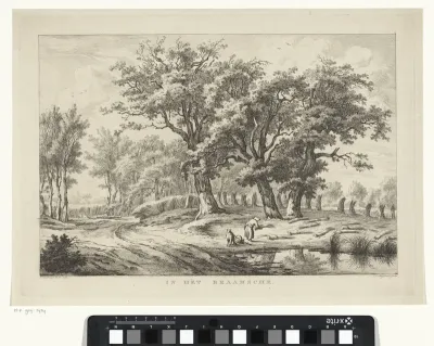 Landschap met korenvelden