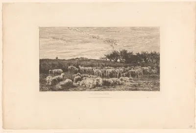 Landschap met kudde schapen