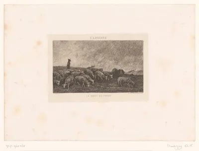 Landschap met kudde schapen bewaakt door herdershonden