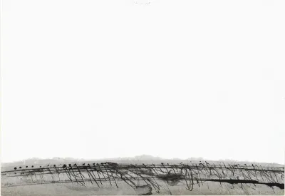 Landschap met lage horizon 2