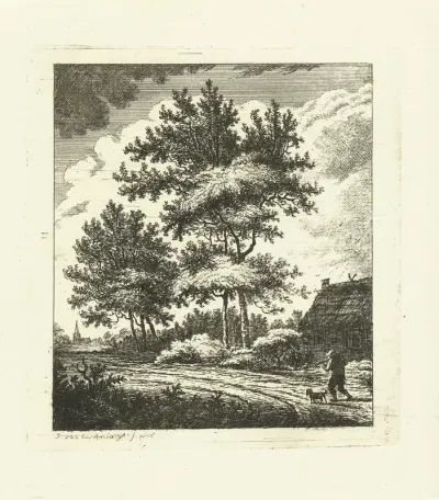 Landschap met landweg