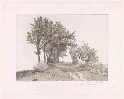 Landschap met landweg en lage stenen omheiningen