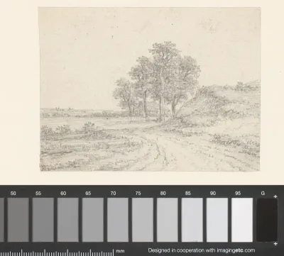 Landschap met landweg