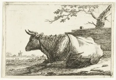 Landschap met liggende koe met dek op de rug