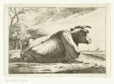 Landschap met liggende koe op rug gezien