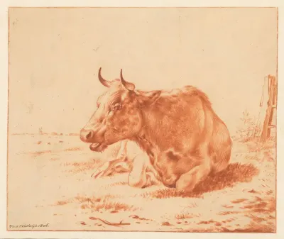 Landschap met liggende koe van voren gezien
