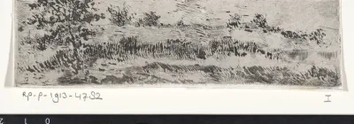 Landschap met links een boom