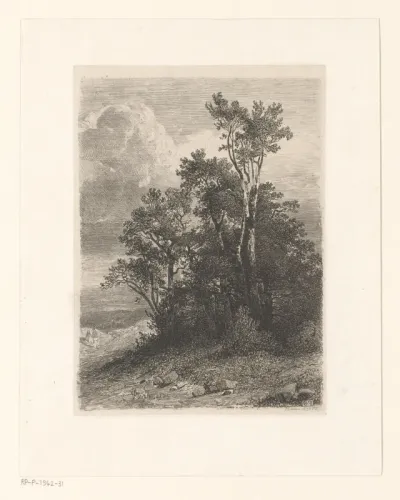 Landschap met loofbomen