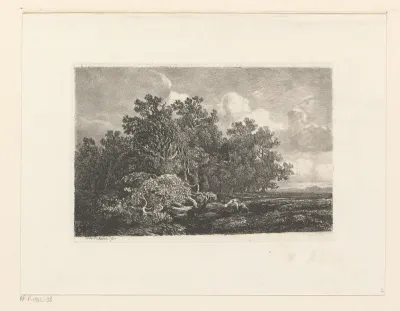 Landschap met loofbomen en een omgevallen eik