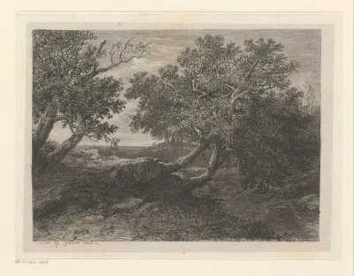 Landschap met loofbomen hangend over een beek