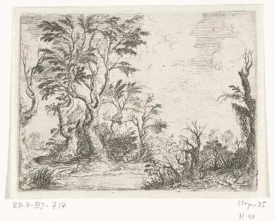 Landschap met loofbomen